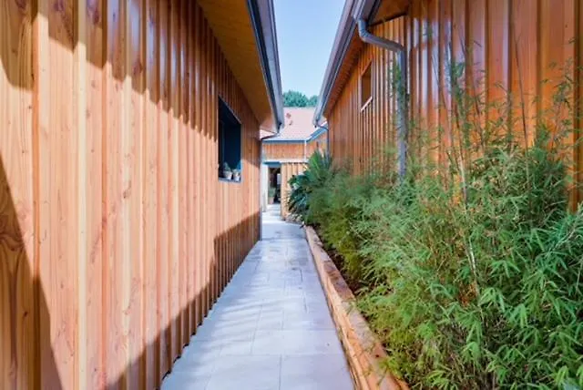 La Du Huga N°3 * Lacanau